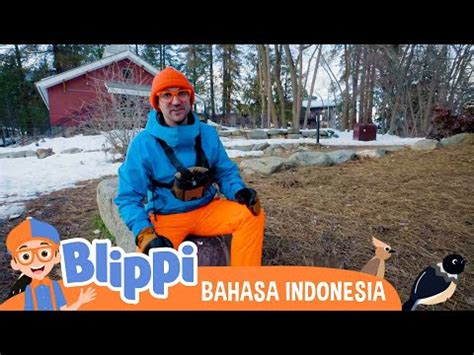 Blippi Belajar Tentang Burung - Hewan di Alam Liar | Blippi Bahasa