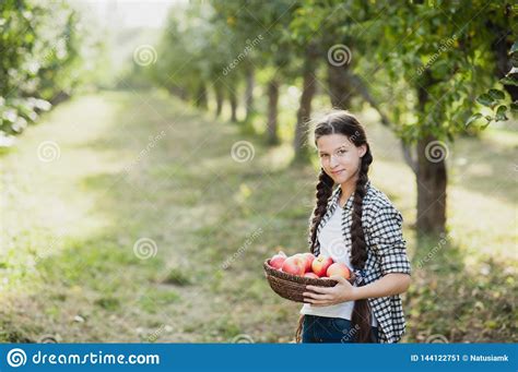 Girl With Apple In The Apple Orchard Stock Image Image Of Care