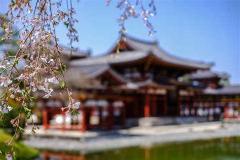 Byodo Temple Stock Photos Pictures And Royalty Free Images Istock