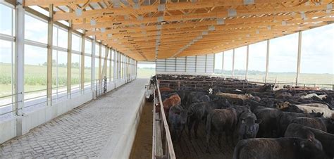 Feeds farm beasts with herbivore , omnivore , and special omnivore diets. Use: Indoor feedlot facility for cattle confinement Size ...