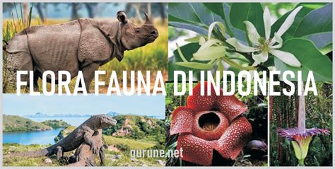 Beragamnya Flora Dan Fauna Indonesia Materi Kelas V Tema Sub Tema Pembelajaran Gurune Net
