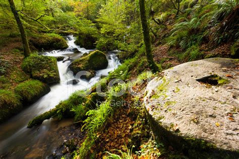 Waterfall In The Woods Stock Photos