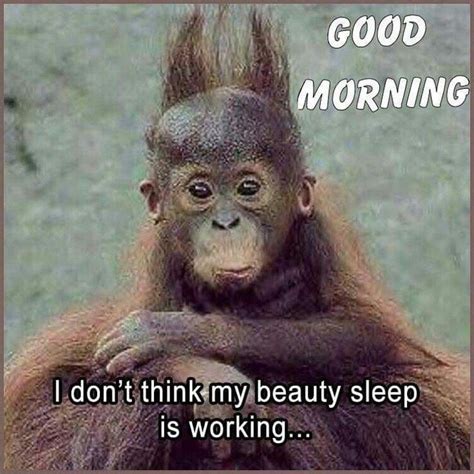 We know you love your boyfriend, but admit it: Pin by Crystal Gornto on Me | Funny good morning memes ...