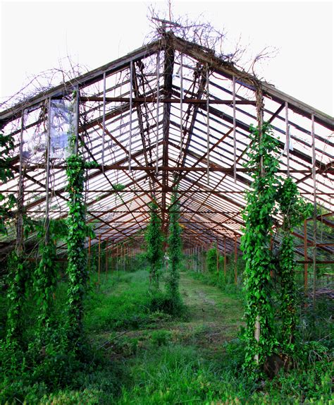 Entrance To Abandoned Greenhouse Greenhouse Abandoned Traditional