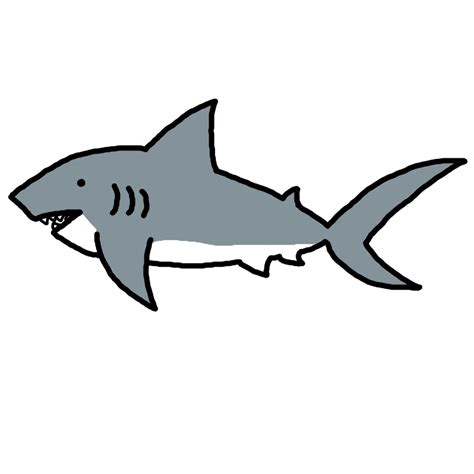 Download High Quality Shark Clipart Easy Transparent Png Images Art