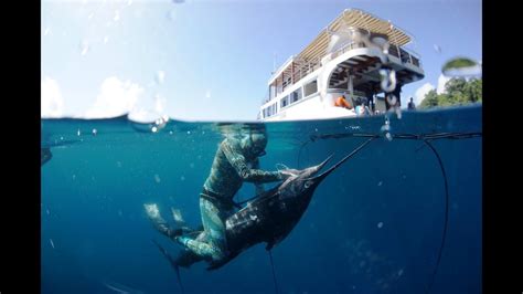 Rafkha sikecilpalinggokil is at warung sego penyetan khas banyuwangi. INDONESIA SPEARFISHING CHARTER - EAST JAVA SPEARFISHING TRIP - YouTube