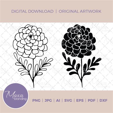 Marigold Flower Clipart in Svg Png Dxf Jpg Pdf Ai Eps. - Etsy Ireland