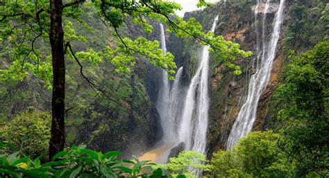 Jog Falls The Highest Waterfall In Karnataka Adventure Buddha