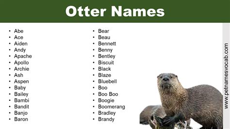 Otter Names Cut Funny And Famous Pet Names Vocab