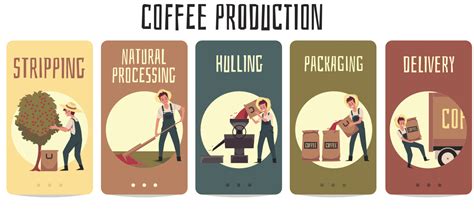 Coffee Processing Methods Selling Coffee Online