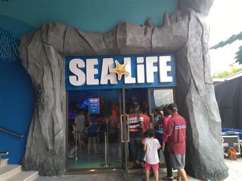 Sea life malaysia will have more than 25 display tanks in 11 habitat zones, featuring thousands of sea creatures. Exploring SEA LIFE Malaysia at Legoland, Johor - Ler ...