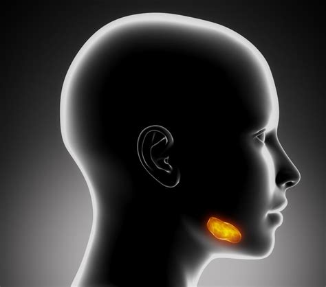 Salivary Gland Infections Causes Types Symptoms And Treatment