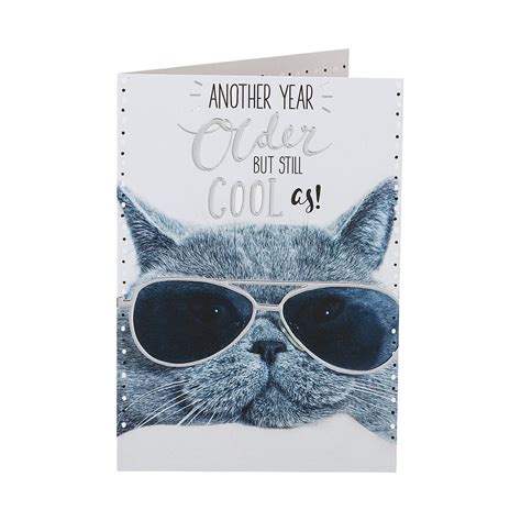 Funny Cool Cat Sunnies Birthday Card The Reject Shop