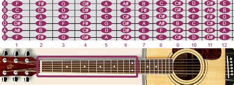 Download this premium vector about basic guitar chord and fretboard diagram, and discover more than 12 million professional graphic resources on freepik. programming - Drawing an accurate guitar fretboard with ...