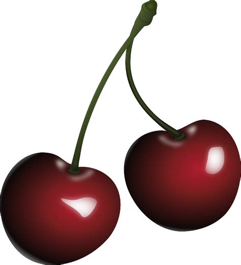 Black Cherry Clip Art Cherry Png Download 581640 Free