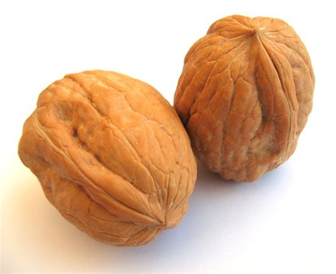 Health Benefits Of Walnut How To Boost Your Immunity