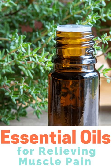 6 Essential Oils To Use For Muscle Pain Healthy Living Tips