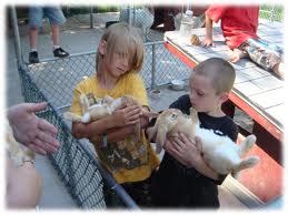 Our petting zoo has the best variety of animals. Pony and Petting Zoo Rentals for Los Angeles and Orange ...