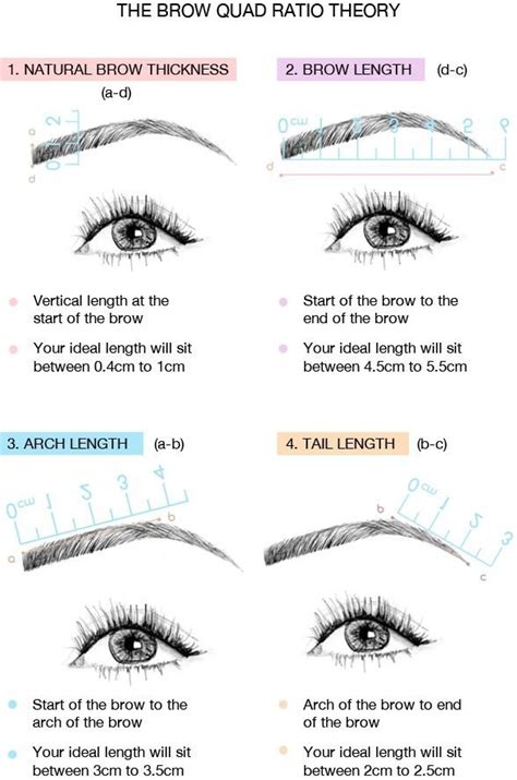 Really Useful Infographics How To Get The Perfect Eyebrows