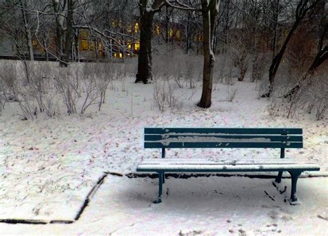 These include the catholic church and its institutions. grüne Bank im Schnee Foto & Bild | landschaft, bänke in ...