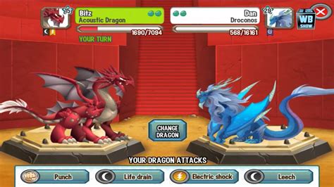Dragon City Acoustic Dragon Battle And Skills Youtube