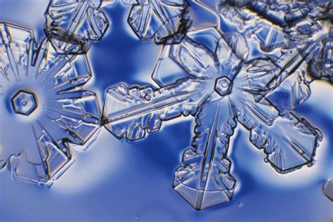 Ice Crystals Under The Microscope — Au