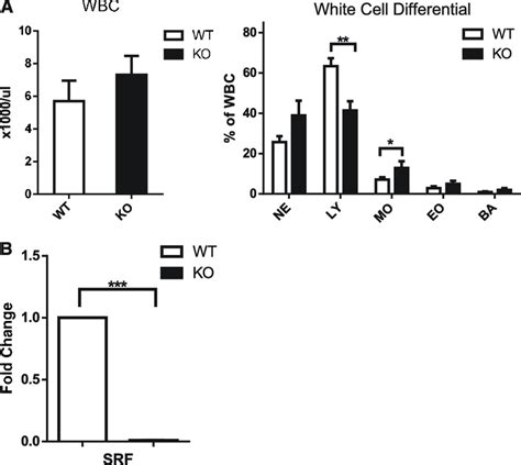 White Blood Cell Counts And Differential In Srf Wt And Ko Mice And