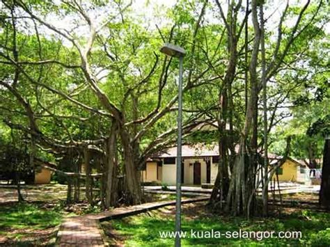 Contact taman alam kuala selangor on messenger. Kuala Selangor Nature Park / Taman Alam Kuala Selangor
