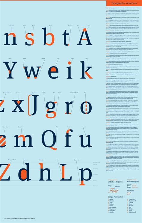 Typography Anatomy Typographic Poster Design Anatomy Of Typography