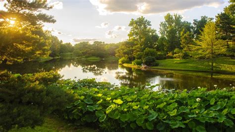 Parks Ponds Green Natural Landscape Wallpapers Hd Desktop And