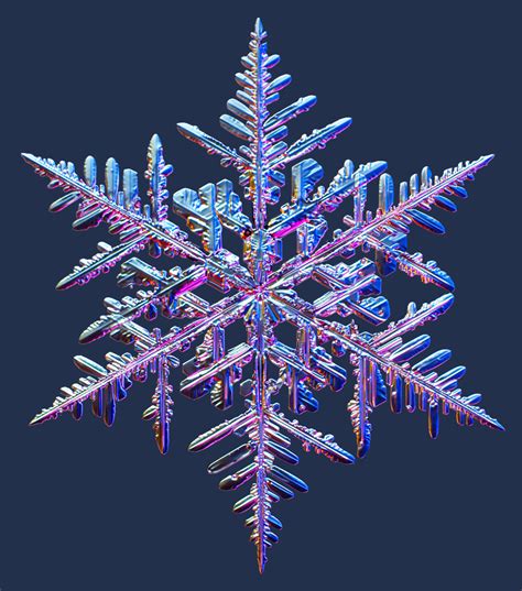 Colorful Snowflakes Wallpapers High Quality Download Free