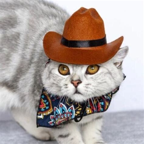 Cowboy Hat For Cats And Small Dogs Indiana Jones Hat Etsy