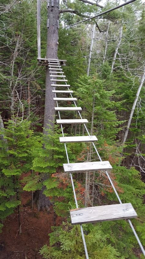 Treego @ Moncton, NS | Moncton, Ladder decor, Places to go