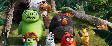 Netflix Has Ordered Forty 40 Episodes Of An Angry Birds Animated Series