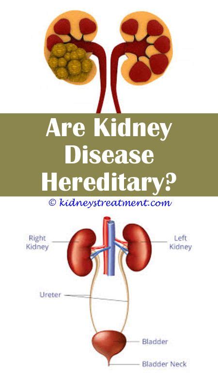 Can A Kidney Infection Cause Spotting