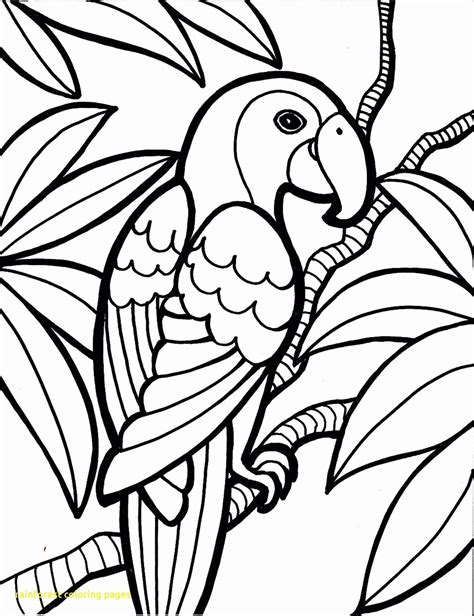 Rainforest Animals Coloring Pages