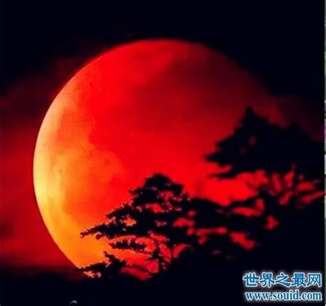 See more of 赤血の月 攝像工作室 on facebook. 血月现象是怎么回事，诡异血红色的月亮(凶兆) —【世界奇闻网】