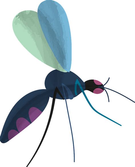 Mosquito Clipart Free Download Transparent Png Creazilla