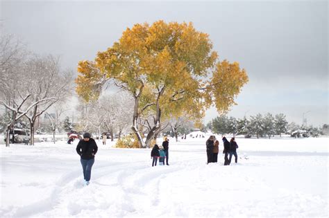 Clima en reynosa con el estado del tiempo a 14 días. México en invierno - Turismo.org
