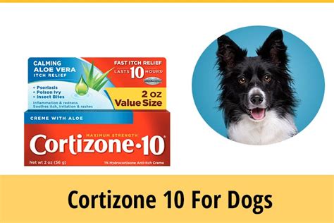 Can U Use Cortisone On Dogs