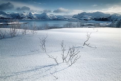 Earth Winter Lake Norway Snow Hd Wallpaper Peakpx