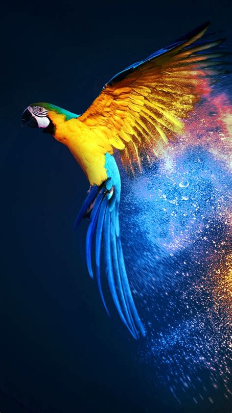 Macaw Wallpapers Hd Wallpapers Id 27187