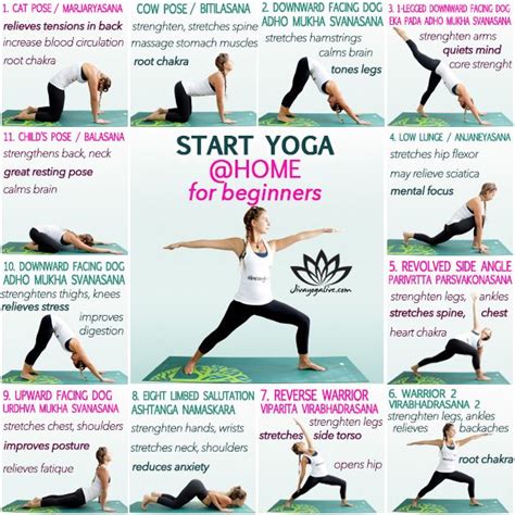 How To Start Yoga At Home For Beginners How To Start Yoga Yoga At