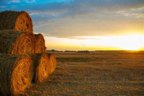 Sunset Over Farm Field With Hay Bales Stock Photo Image Of Wheat