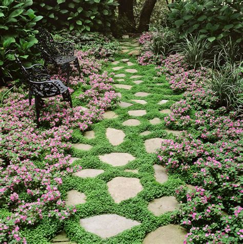 Cover Backyard Bald Spots With These Ground Cover Flowers Garden