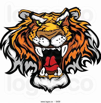 Fierce Clipart Tiger Lion Clip Face Vector