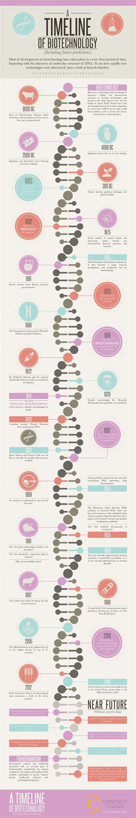 A Timeline Of Biotechnology Infographic