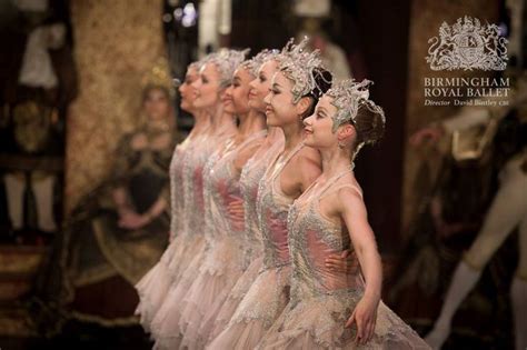 Birmingham Royal Ballet The Sleeping Beauty Photo Ty Singleton