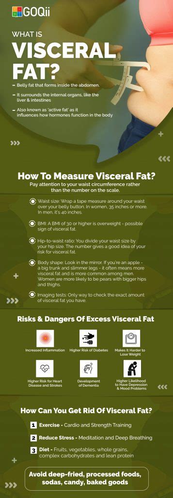 All You Need To Know About Visceral Fat Goqii