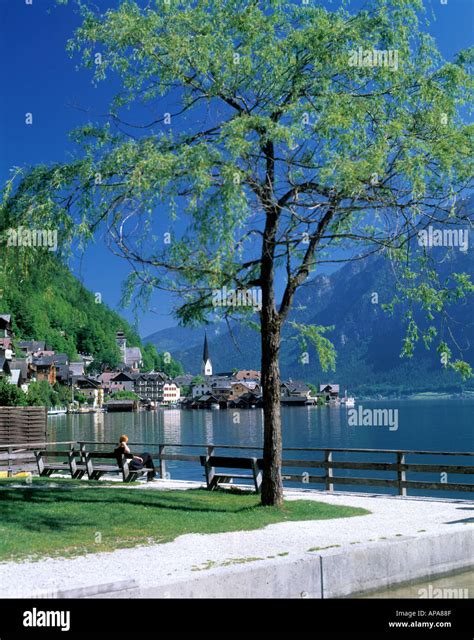 Lake Hallstattersee Hallstatt Austria Stock Photo Alamy